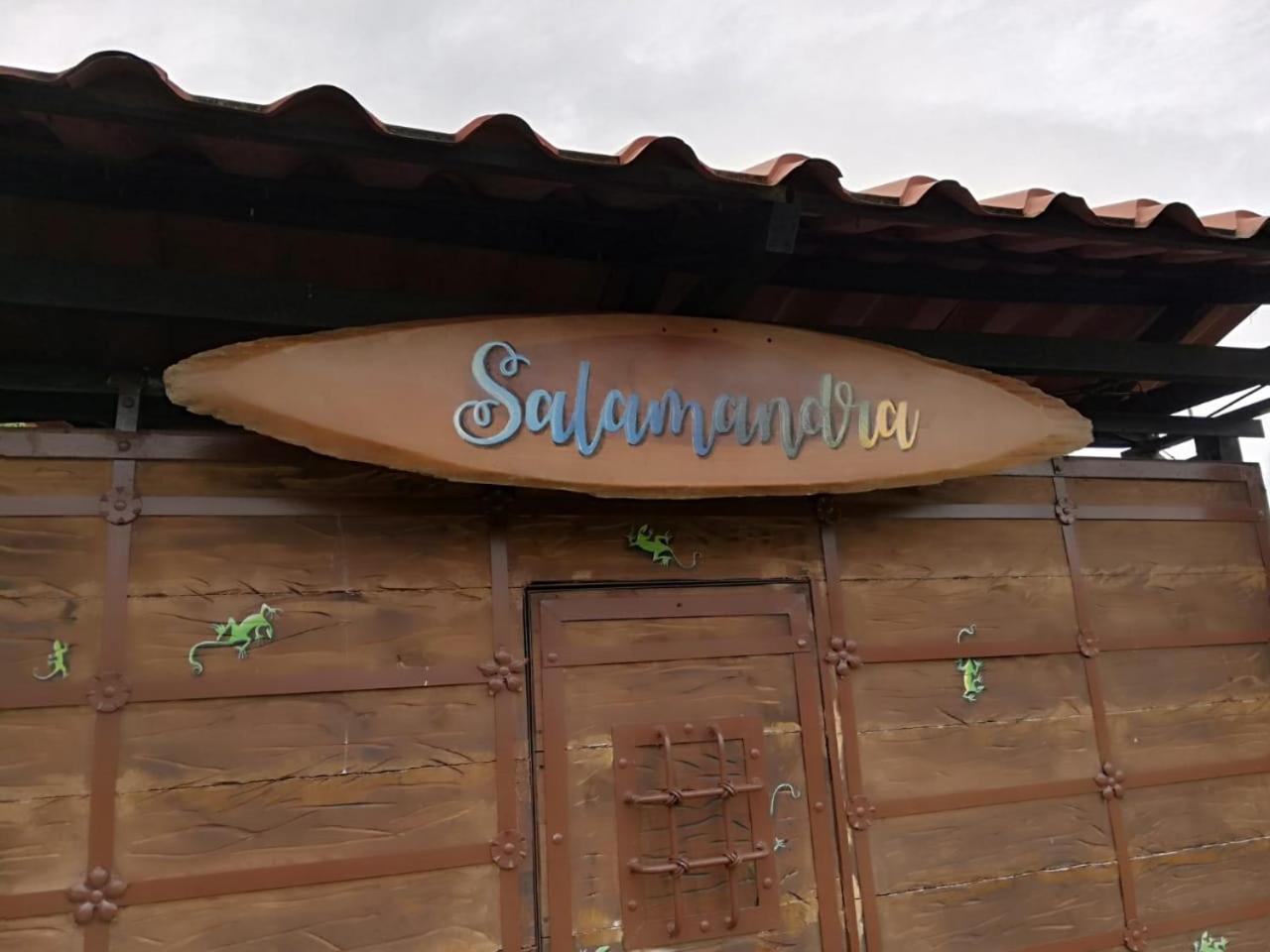 Salamandra Costa Rica Jimenez المظهر الخارجي الصورة
